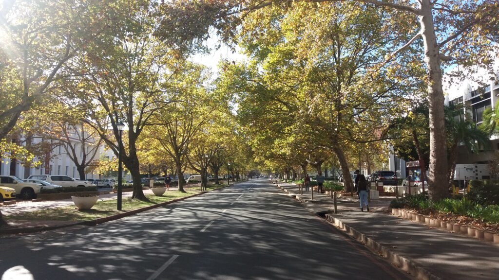 Victoria Street, Stellenbosch